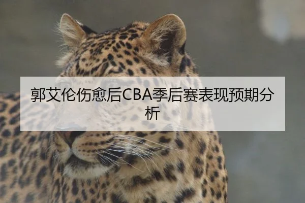 郭艾伦伤愈后CBA季后赛表现预期分析