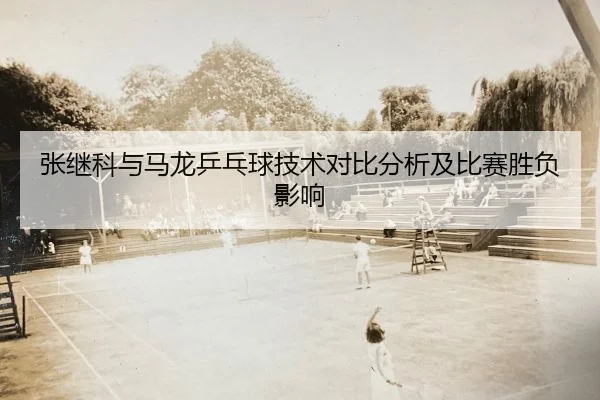 zhang-ji-ke-yu-ma-long-ping-pang-qiu-ji-shu-dui-bi-fen-xi-ji-bi-sai-sheng-fu-ying-xiang-2-265.jpg